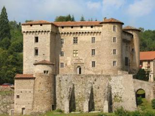 Chateau De Chalmazel Saint-Just-en-Bas Екстер'єр фото