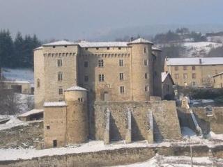 Chateau De Chalmazel Saint-Just-en-Bas Екстер'єр фото