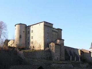 Chateau De Chalmazel Saint-Just-en-Bas Екстер'єр фото